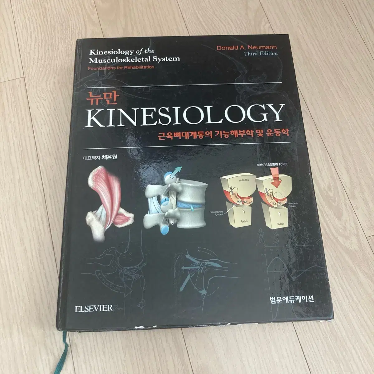 뉴만 키네시올로지 kinesiology 물리치료학과 전공책